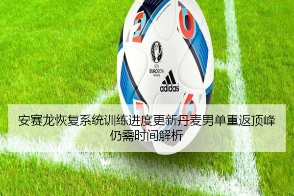 安赛龙恢复系统训练进度更新丹麦男单重返顶峰仍需时间解析