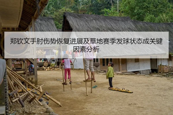 郑钦文手肘伤势恢复进展及草地赛季发球状态成关键因素分析