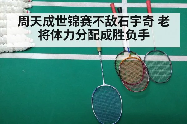 周天成世锦赛不敌石宇奇 老将体力分配成胜负手